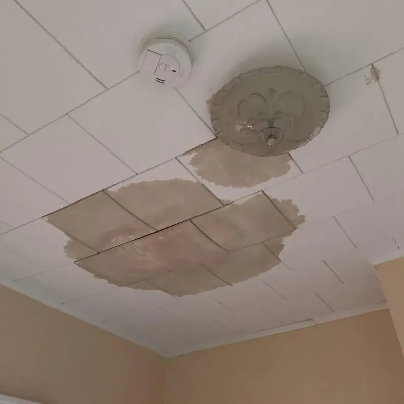 Ceiling Water Damage Repair in Jefferson Parish, LA